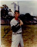 Ted Williams Glossy 8" x 10" Signed Photo -- Fine