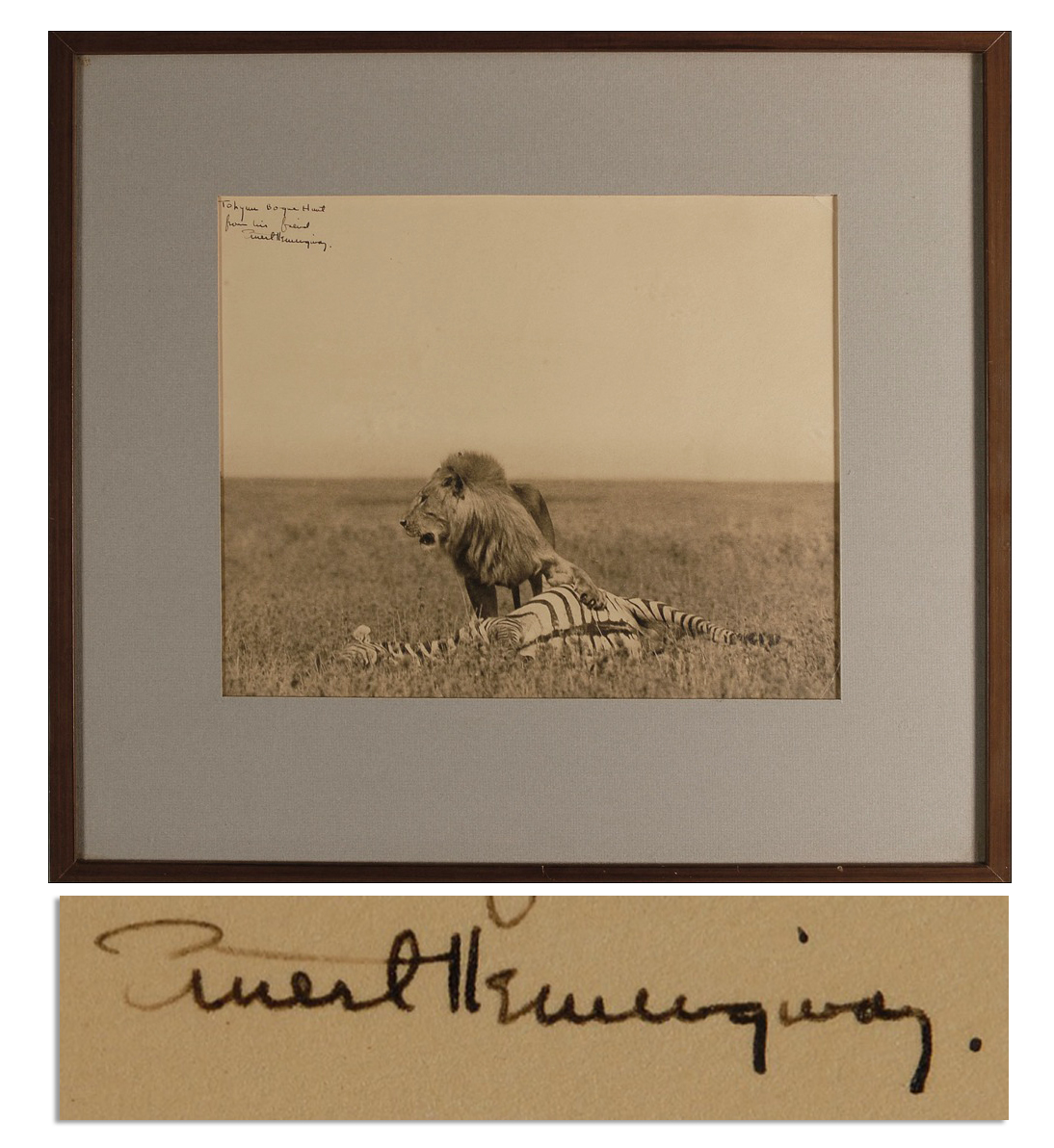 Ernest Hemingway First Edition Amazing Ernest Hemingway Signed Photograph of a Lion and Its Hunt While on Safari -- Large Photograph Measures 11'' x 9''
