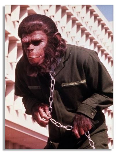 ''Planet of the Apes'' Screen-Worn Chimp Costume