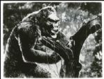 Fay Wray 10 x 8 Glossy Signed Photo from King Kong -- Near Fine