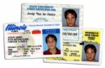 Three ID Cards Used on Screen on Desperate Housewives -- With ABC Studios COA