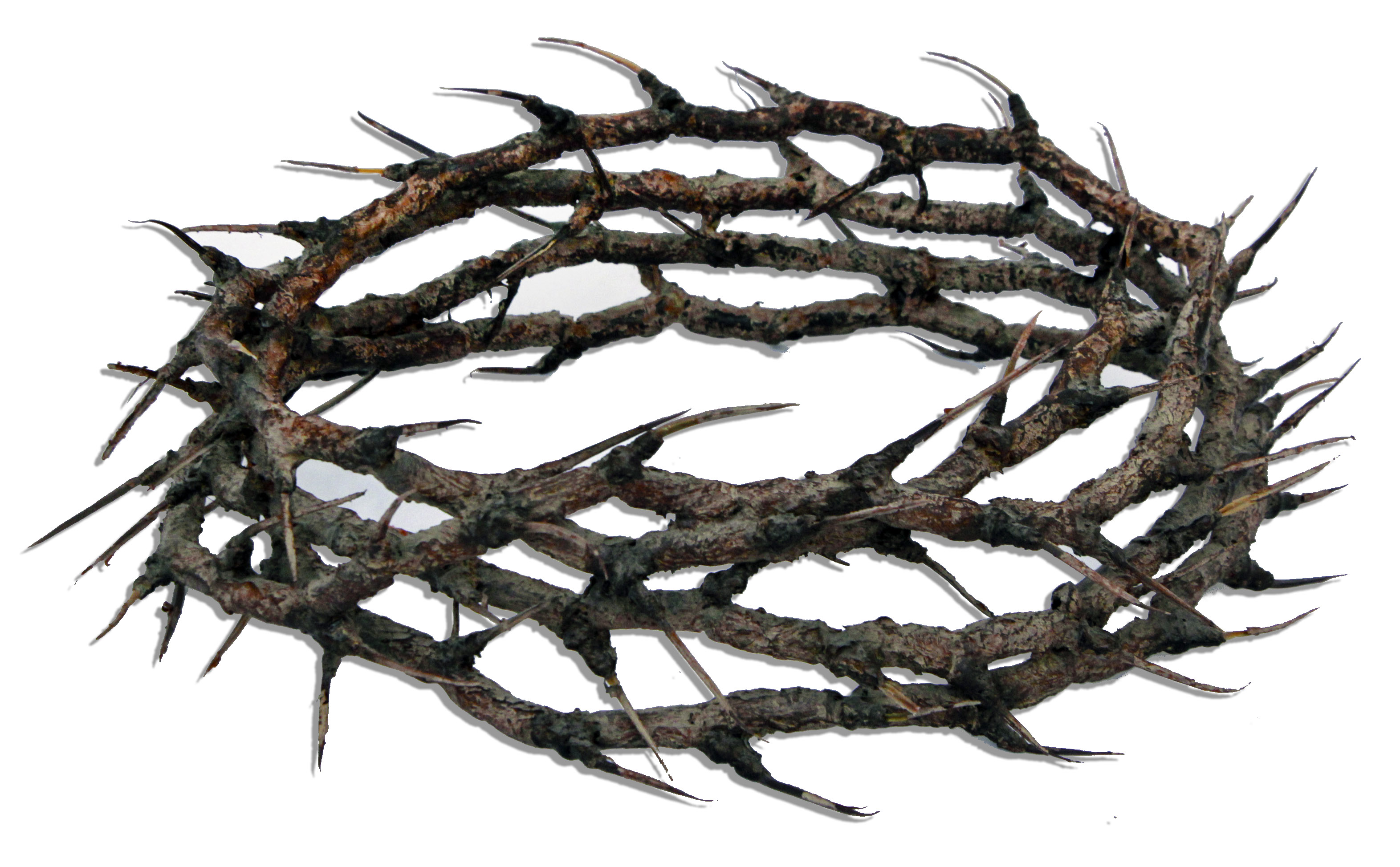 christian clip art crown of thorns - photo #39