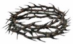Crown of Thorns From The Passion of the Christ -- One of Just 4 Made For The Film And One of 2 to Survive Filming -- Fine