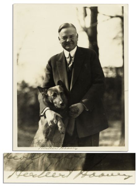 Herbert Hoover Signed 8'' x 10'' Campaign Photo of Himself With His Dog ''King Tut''