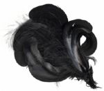 Queen Victoria Owned & Worn Black Feather Aigrette -- Purchased at Christies by Madame Tussauds in 1982