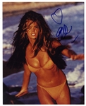 8 x 10 Elle MacPherson Glossy Signed Photo -- The Supermodel Signs With a Heart -- Very Good Condition -- With Michael Wehrmann COA