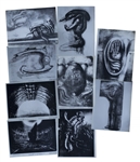 H.R. Giger Alien Artwork -- Set of 9 Photos of the Alien Creature, Space Jockey