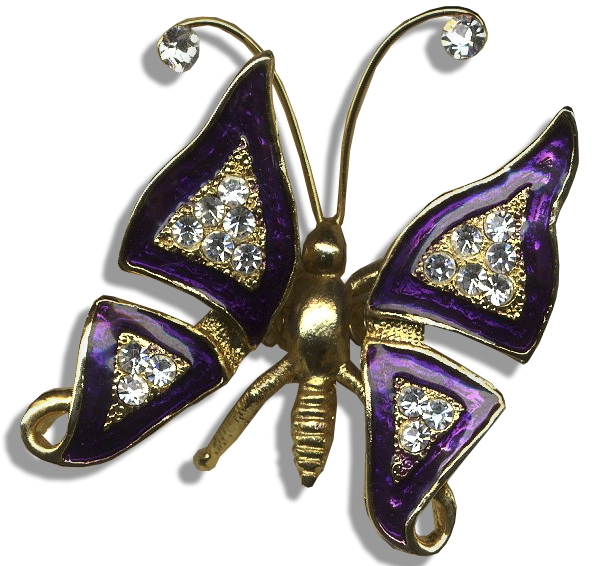 Mouseketeer Annette Funicello Personally Owned & Worn Butterfly Brooch