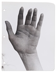 Original 8.5 x 11 Photo of Marilyn Monroes Palm, Taken by Andre de Dienes, With de Dienes Backstamp & Hand-Annotated on Verso by de Dienes
