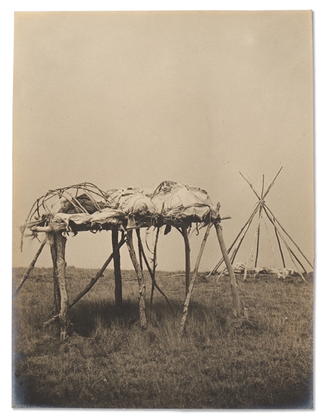Lot of Two Photographs by David F. Barry -- Includes Photos of a Sioux Burial Place - a Body Raised up on Scaffolding - and Comanche, ''only surviving horse of the Custer Fight''
