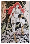 Frank Thorne Painting of Red Sonja Measuring 41 x 60 -- Done in 1976, Painting Hung in Thornes Home for 45 Years