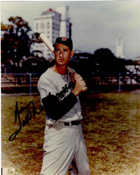 Ted Williams Glossy 8 x 10 Signed Photo -- Fine