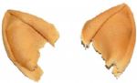 Star Trek Vulcan Ears -- Cast Latex Ears Measure 1.5 x 2.5 -- Mint
