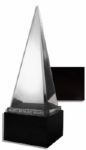 American Music Award From the 2011 Ceremony