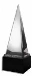 American Music Award From the 2011 Ceremony