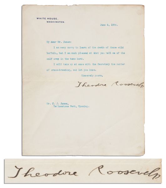 Theodore Roosevelt Typed Letter Signed as President -- To Yellowstone National Park Warden Buffalo Jones -- ''...I am very sorry to learn of the death of those wild buffalo...''