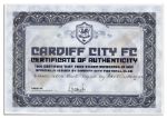 Peter Whittingham Match Worn Cardiff City Football Shirt Signed