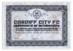 Jordon Mutch Match Worn Cardiff City Football Shirt Signed