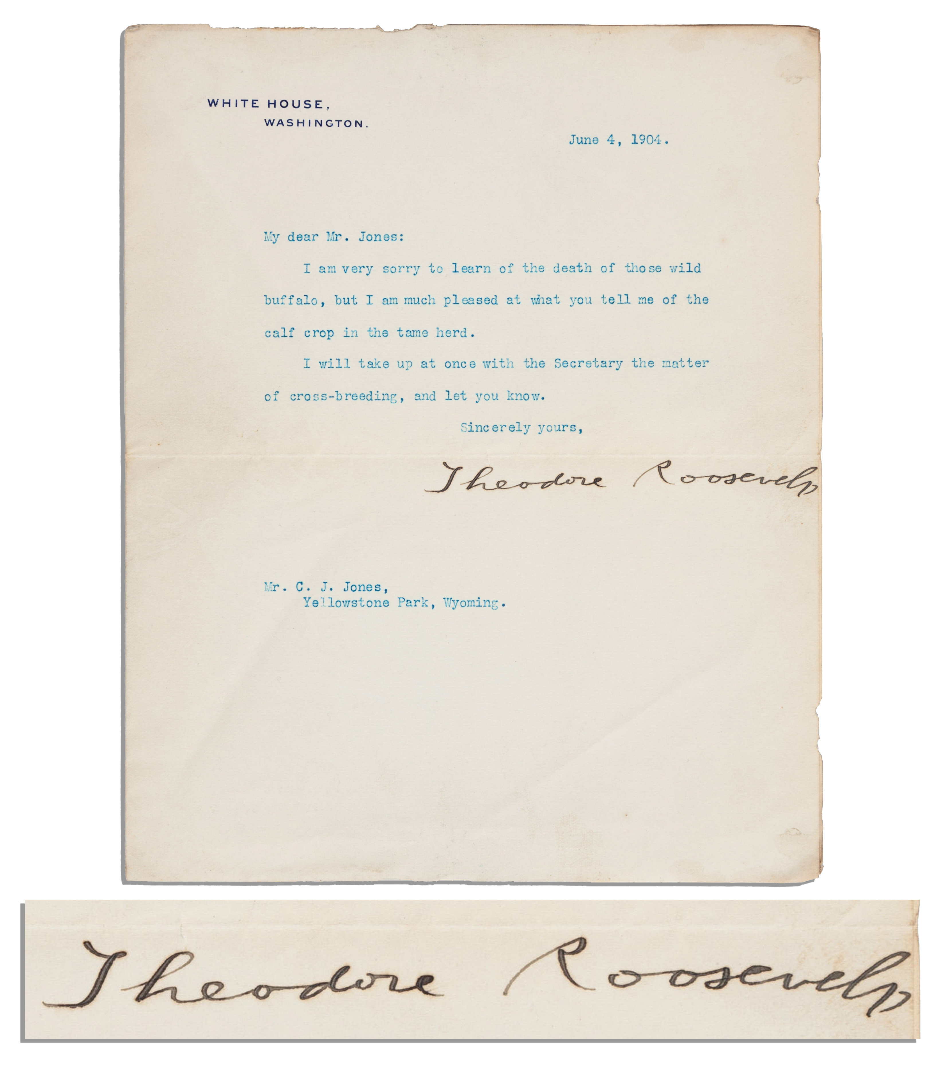 Theodore Roosevelt Autograph