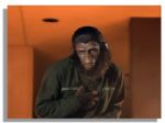 ''Conquest of the Planet of the Apes'' Chimp Costume