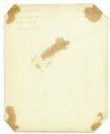 Shirley Temple Signed 8'' x 10'' Photo