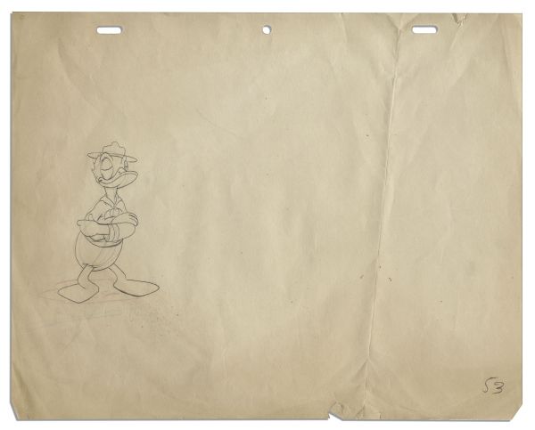 Ray Bradbury Owned Sketch of Walt Disney's ''Donald Duck'' -- Sketched in Pencil on Animation Paper -- Measures 13'' x 11'' -- Very Good -- With COA From Bradbury Estate