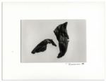 Suite of Ralph Nelson Photos in Signed Displays -- From Ray Bradbury's Personal Collection