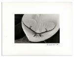 Suite of Ralph Nelson Photos in Signed Displays -- From Ray Bradbury's Personal Collection