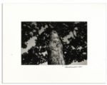 Suite of Ralph Nelson Photos in Signed Displays -- From Ray Bradbury's Personal Collection