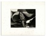 Suite of Ralph Nelson Photos in Signed Displays -- From Ray Bradbury's Personal Collection