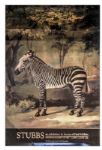Ray Bradbury Owned Lot of 14 Art Posters -- Prints by Matisse, Picasso & Andrew Wyeth -- Largest Measures 25'' x 38'' -- Foxing and Creasing, Good to Very Good Condition -- COA From Estate