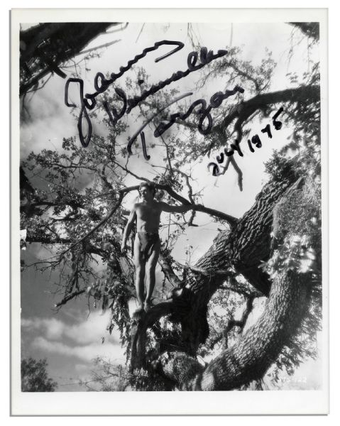 Johnny Weissmuller Signed 8'' x 10'' Photo as Tarzan