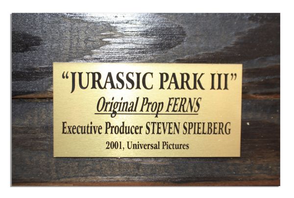 Collection of Props From ''Jurassic Park III''