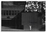 Exceptionally Large 20 x 16 Willie Mays Signed Photo of The Catch -- With Mays Say Hey Hologram 