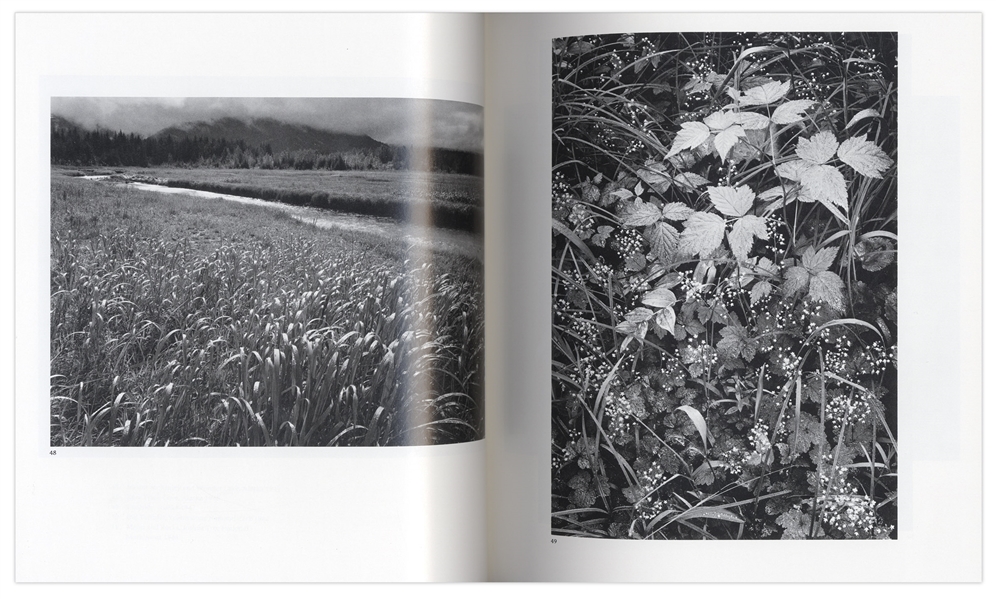 Ansel Adams Signed ''Ansel Adams'' Photography Book -- Beautiful Compilation of Photographs