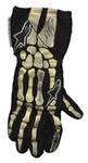 Dale Earnhardt Jr. Race-Worn & Signed Driving Gloves -- With COA From Dale Earnhardt Jr. Foundation