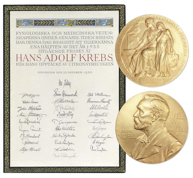 Nobel Prize Awarded to Scientist Hans Krebs in 1953, Won for His Discovery of the Famous Krebs Cycle -- With Krebs' Nobel Prize Diploma