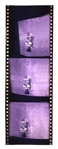 3 Cels of Second Generation Color Film From Apollo 11 -- With COA From University Archives