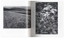 Ansel Adams Signed ''Ansel Adams'' Photography Book -- Beautiful Compilation of Photographs