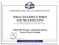 Actress Elizabeth Banks Screen-Worn Maternity Top -- From the 2012 Romantic Comedy ''What to Expect When You're Expecting''