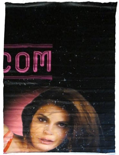 ''Desperate Housewives'' Screen-Used Billboard Prop From Season 7 of the Hit ABC Series -- Depicting Teri Hatcher as Susan Delfino