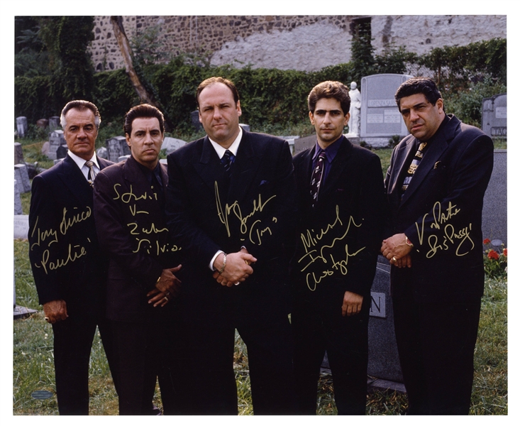 ''The Sopranos'' 20'' x 16'' Cast Signed Photo -- With Steiner COA