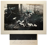 Andrew Wyeth Signed Limited Edition Collotype of Dogwood