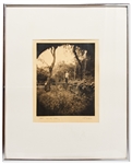 Tom Millea Signed Platinum-Palladium Photograph -- Measures 10.875'' x 13.875''