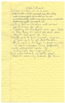 Jerry Seinfeld 2009 Handwritten Notes for His Comedy Routine -- ''...And even though you know that hot dog sucks it doesn't matter...''