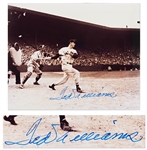 Ted Williams Glossy 10 x 8 Signed Photo -- Near Fine