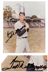 Ted Williams Signed 8 x 10 Photo -- Without Inscription and Near Fine