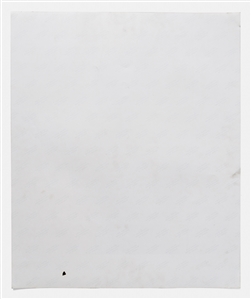 Marilyn Monroe 20'' x 24'' Photograph from ''The Last Sitting'' Signed by Photographer Bert Stern