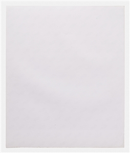 Marilyn Monroe 20'' x 24'' Photograph Titled ''Playful'' from ''The Last Sitting'' Signed by Photographer Bert Stern