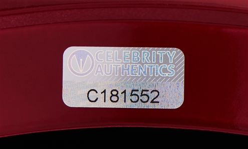 Stan Lee & Avengers Cast-Signed ''Iron Man'' Helmet -- With Celebrity Authentics COAs